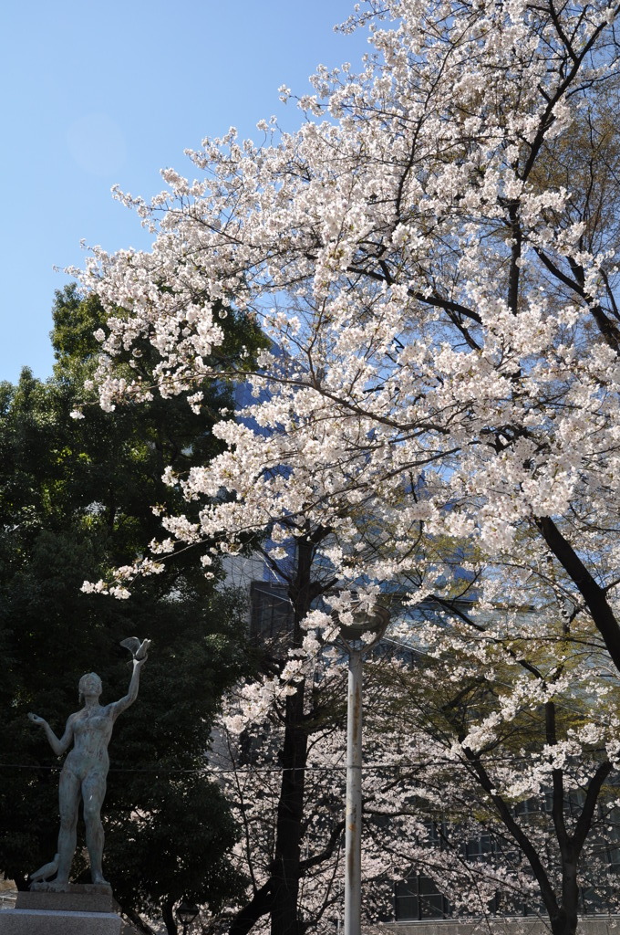 桜＠池袋
