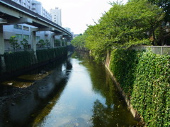 R0010189