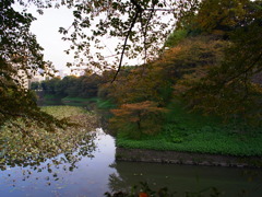 R0011115