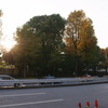 R0011291