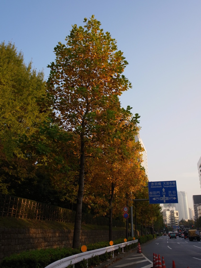 R0011301