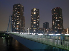 R0011540