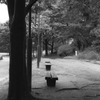 雨の公園