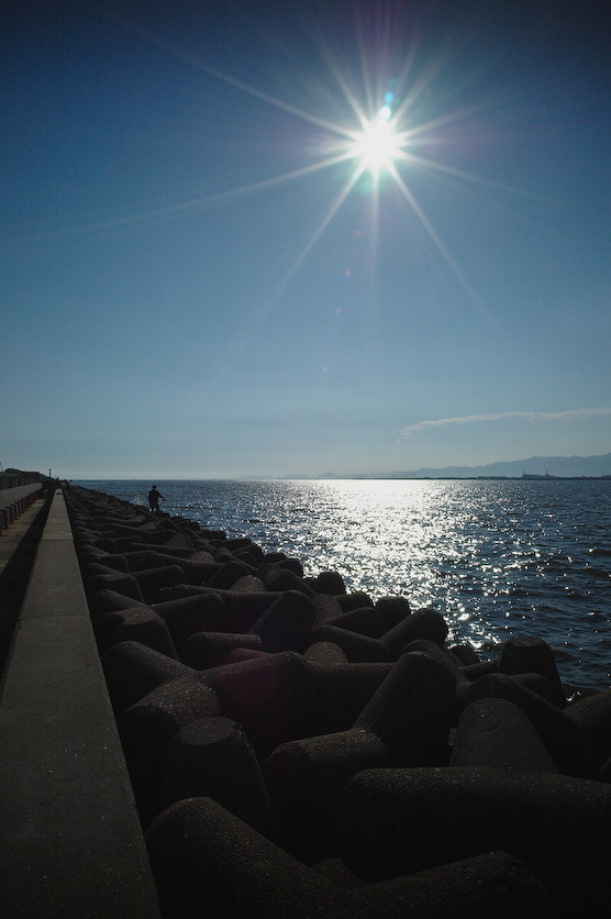 夏の海