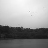 雨の公園