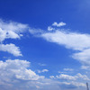 白と青
