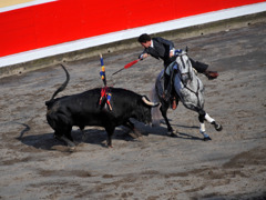 Bilbao_Plaza de toro2