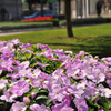 Bilbao_Plaza mayor