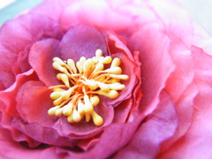 RIMG0062