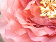 RIMG0066