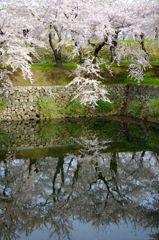 五稜郭公園01