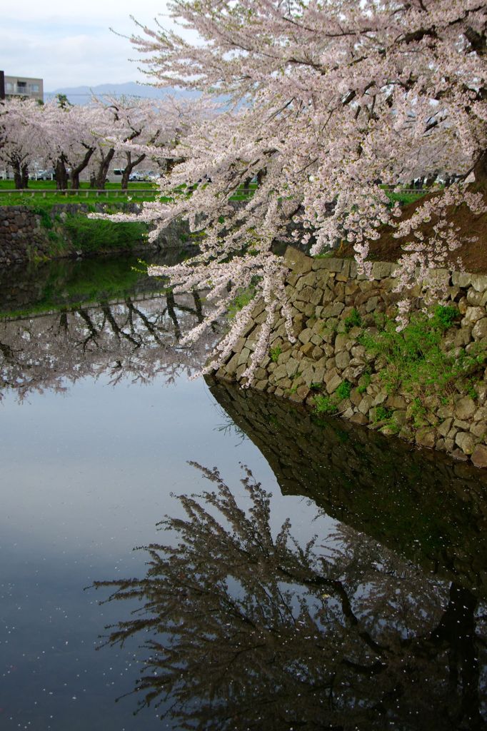 五稜郭公園07