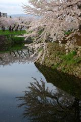 五稜郭公園07
