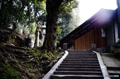 朝