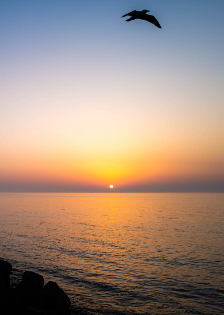 日本海の夕日
