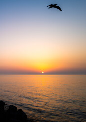 日本海の夕日