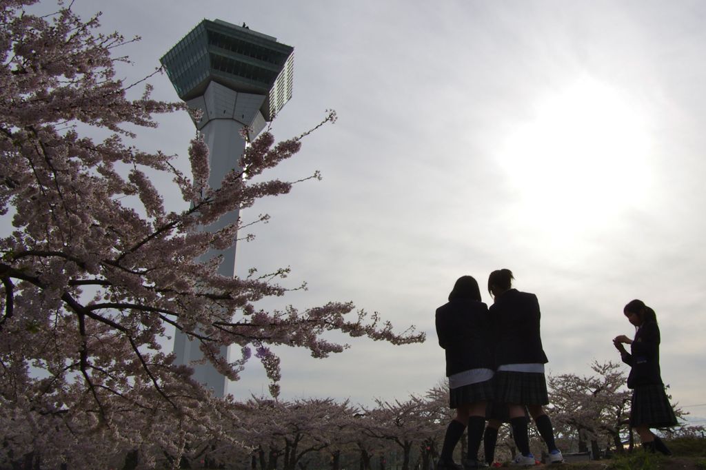 五稜郭公園03