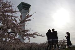 五稜郭公園03
