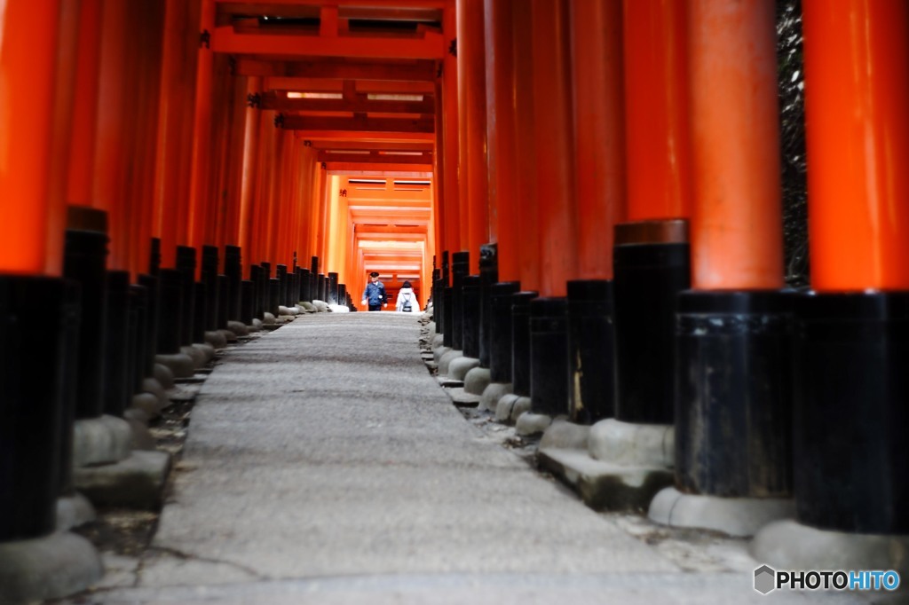 千本鳥居