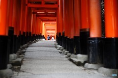 千本鳥居