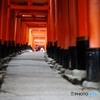 千本鳥居