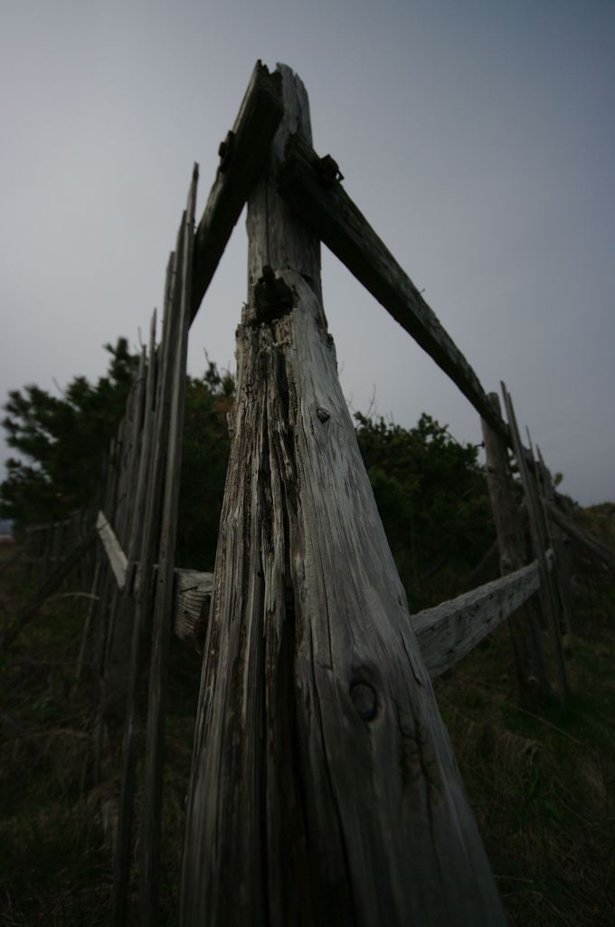 IMGP0757