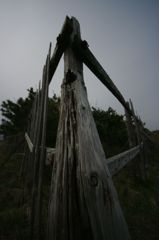IMGP0757