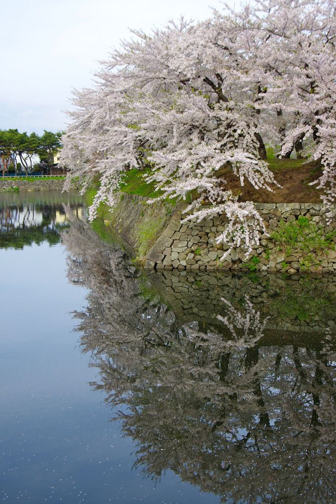 五稜郭公園02