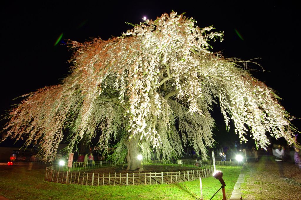 北斗市　法亀寺01