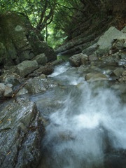 ～川の流れのように～