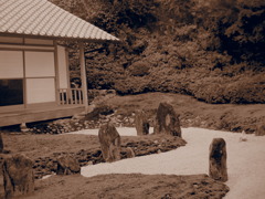 庭