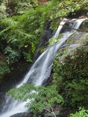 横から「滝」