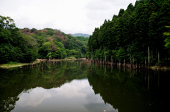 海上の森の大正池