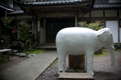 象