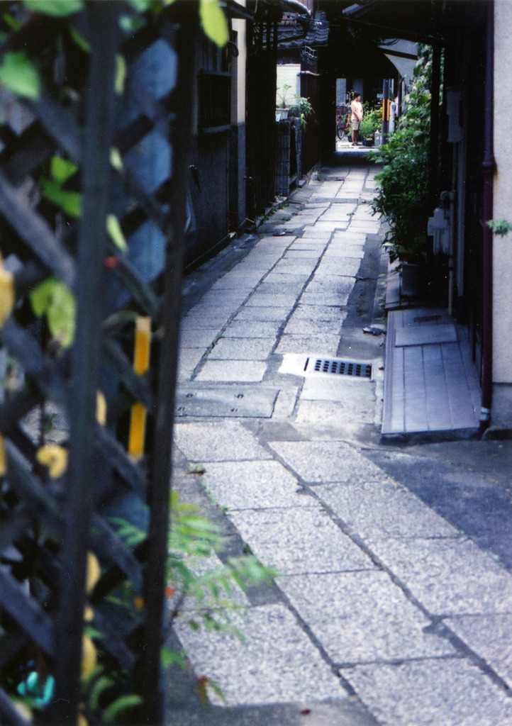 あなたの見つめるもの
