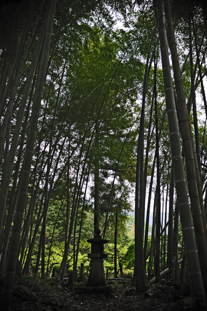 忘却の地