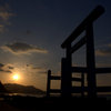夕陽を浴びて
