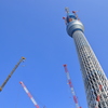 背比べ
