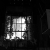 現代社会への警鐘