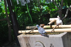 そんなところに