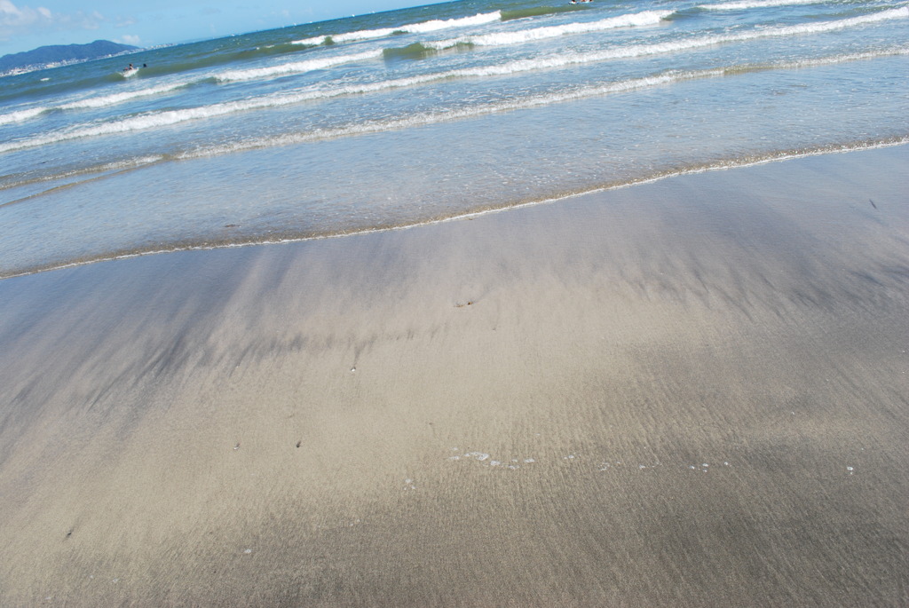 海