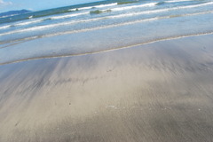 海