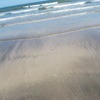 海