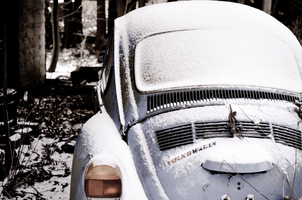 beatle