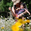 Flower garden