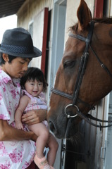 優しいお馬さん