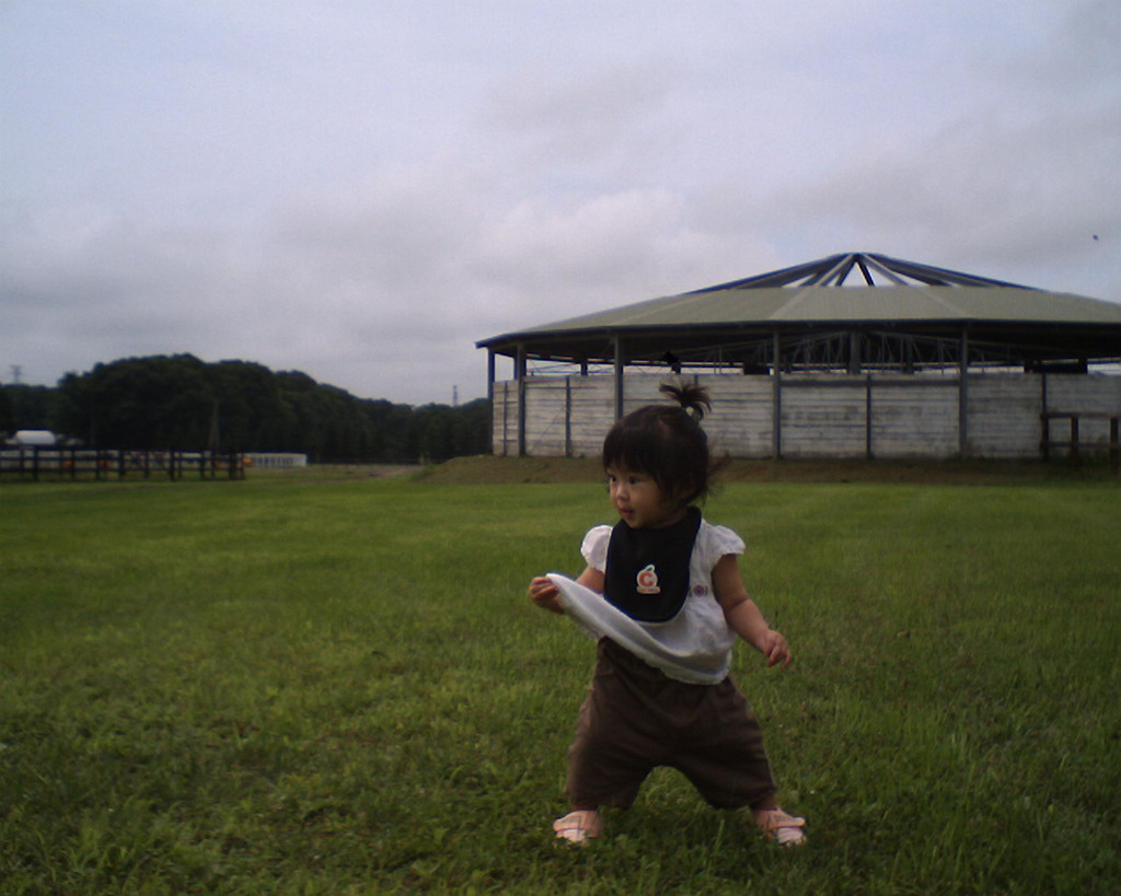馬の牧場