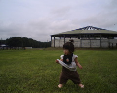 馬の牧場