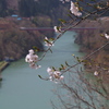 IMGP2105