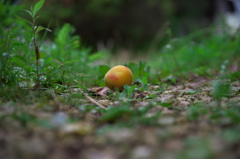 IMGP0259